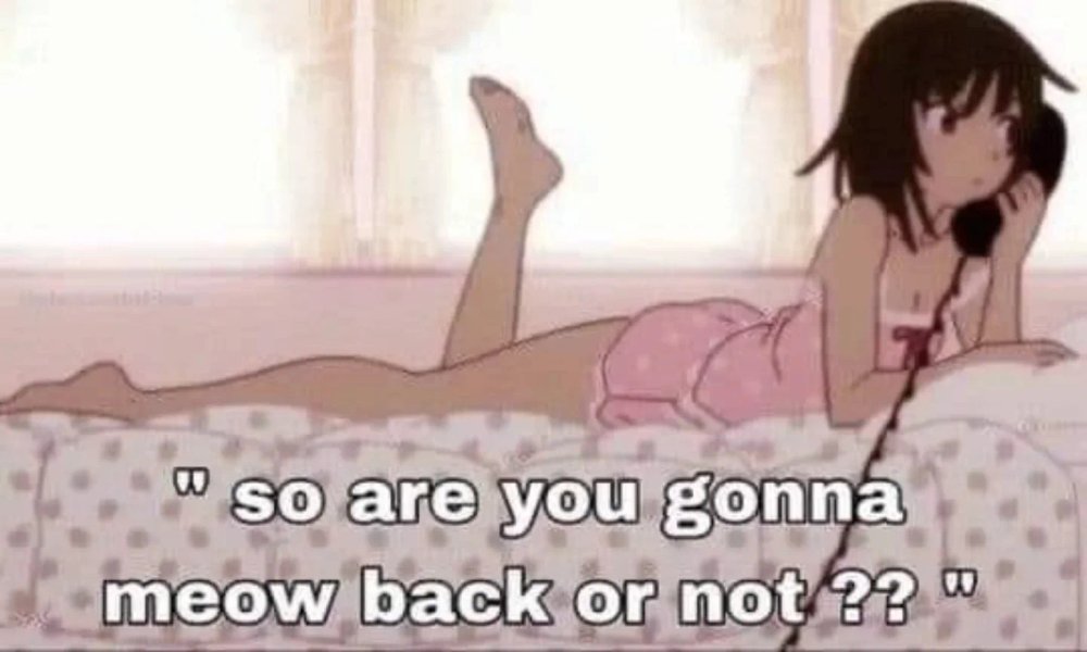 Thumbnail of p-dfipytbneqf-32fb78357b05428c 0