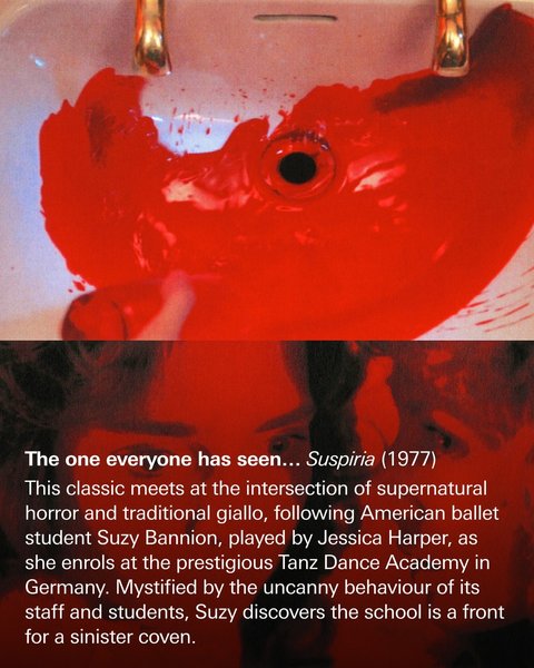 Thumbnail of p-dbyospople-3311edd5475e400c 2