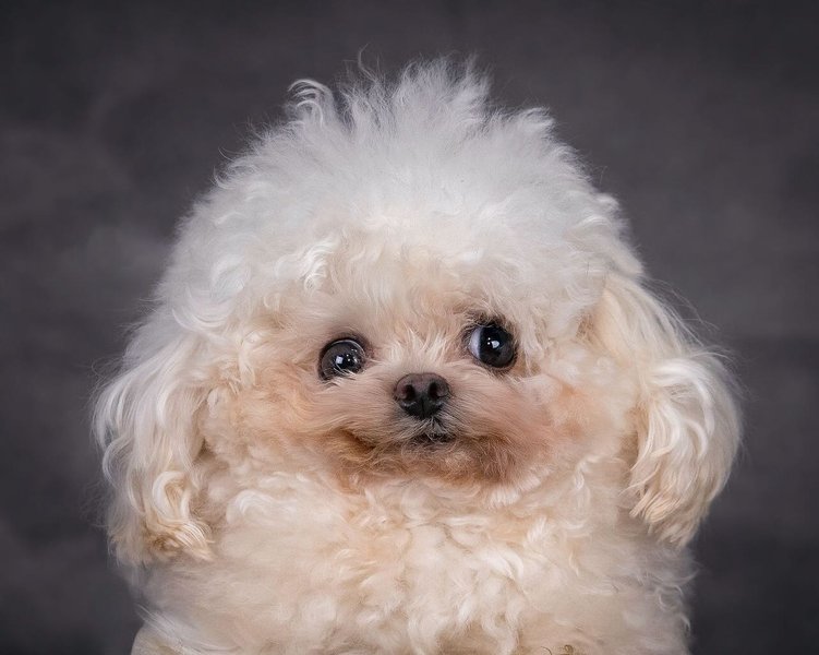 Thumbnail of p-dhj8zmdtyqv-332790054feb48eb 0