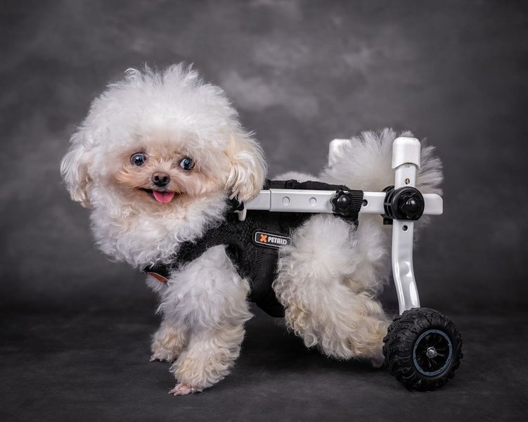 Thumbnail of p-dhj8zmdtyqv-332790054feb48eb 1