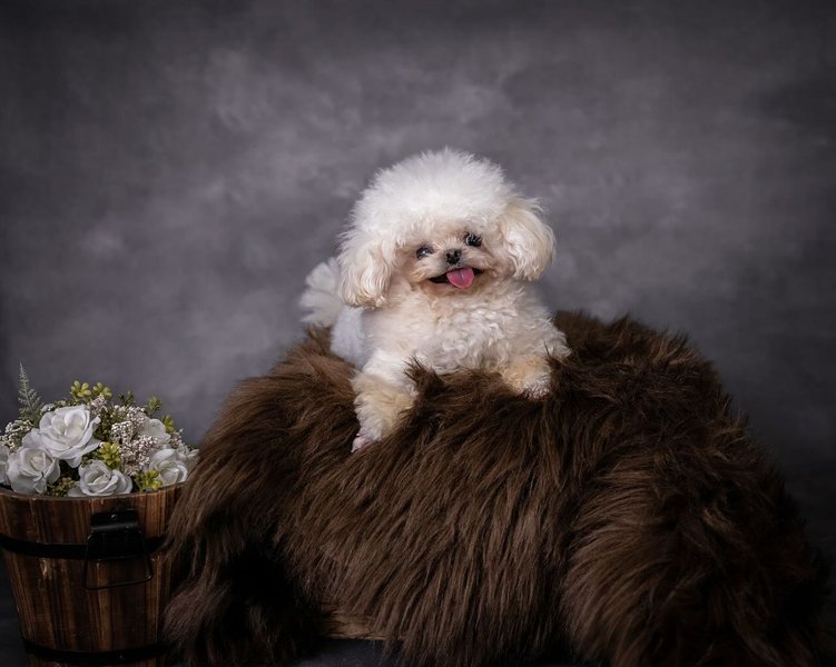 Thumbnail of p-dhj8zmdtyqv-332790054feb48eb 2