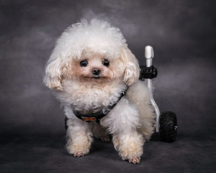 Thumbnail of p-dhj8zmdtyqv-332790054feb48eb 3