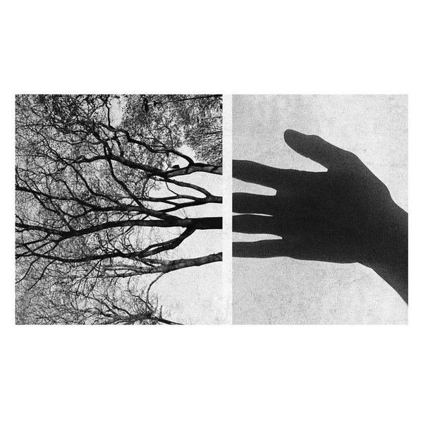 Thumbnail of www-instagram-com-p-c5rqljwsy03 1