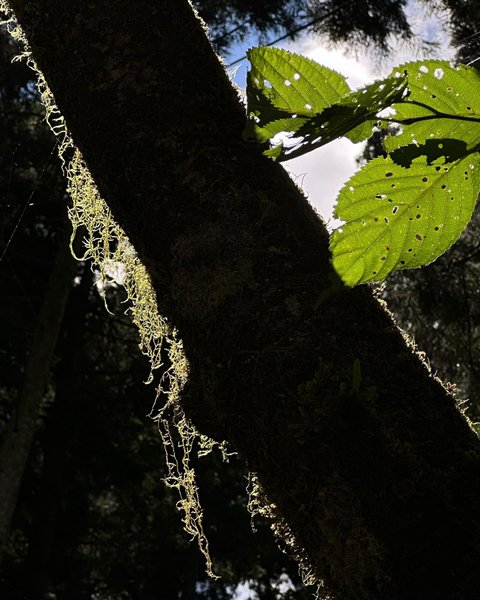 Thumbnail of p-cu8i4l6yh1w-335360c0d38c47b7 3