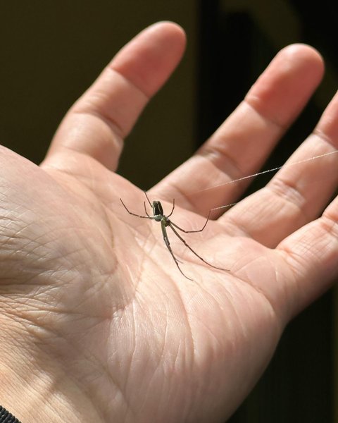 Thumbnail of p-cu8i4l6yh1w-335360c0d38c47b7 4