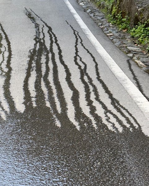 Thumbnail of p-cu8i4l6yh1w-335360c0d38c47b7 6