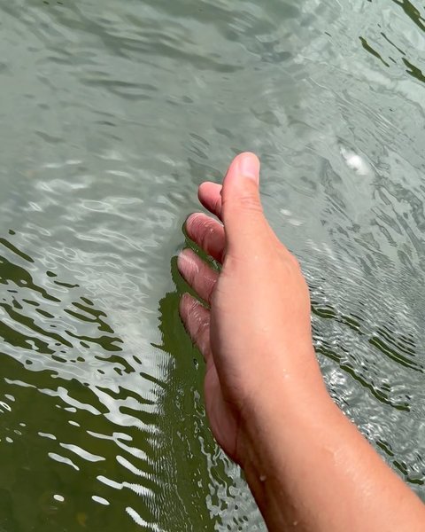 Thumbnail of p-cu8i4l6yh1w-335360c0d38c47b7 7