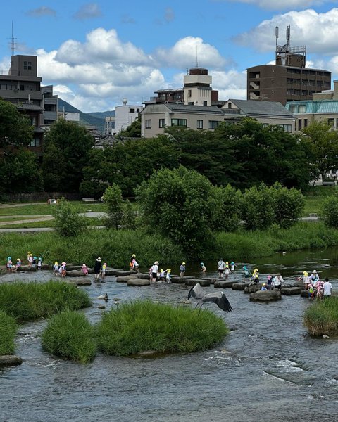 Thumbnail of p-cu8i4l6yh1w-335360c0d38c47b7 8