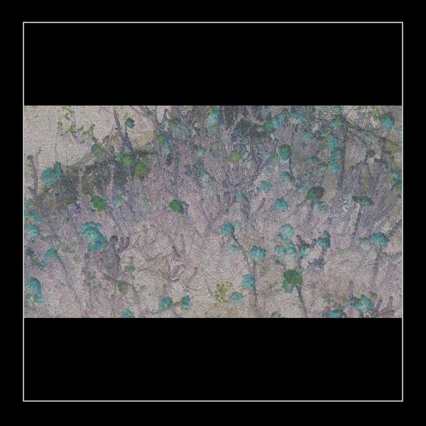 Thumbnail of p-c6jpg48mvnm 1