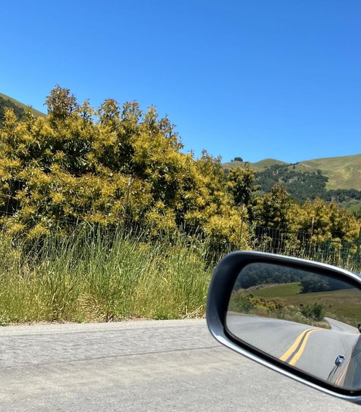 Thumbnail of p-c67dotbpcaz 8