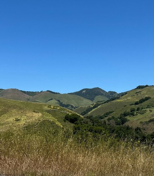 Thumbnail of p-c67dotbpcaz 9