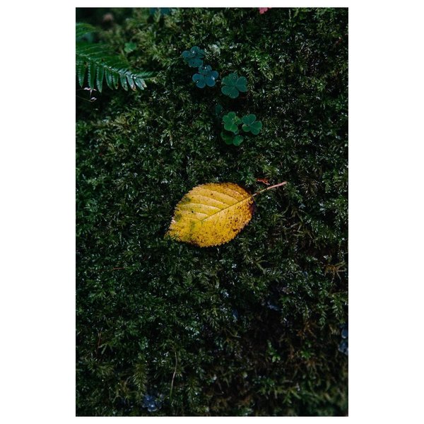 Thumbnail of p-ch8k9erjbob-33c391afb1ba43aa 0