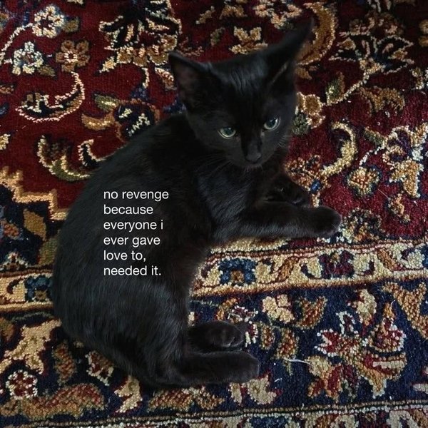 Thumbnail of www-instagram-com-p-dsbs6btk8xa 0