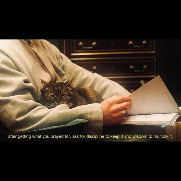 Thumbnail of www-instagram-com-p-dsbs6btk8xa 12