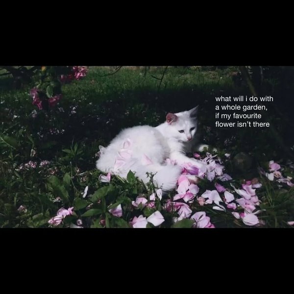 Thumbnail of www-instagram-com-p-dsbs6btk8xa 16