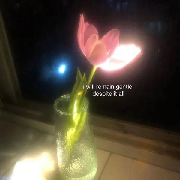 Thumbnail of www-instagram-com-p-dsbs6btk8xa 4