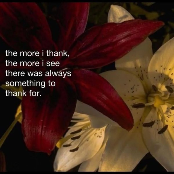 Thumbnail of www-instagram-com-p-dsbs6btk8xa 7