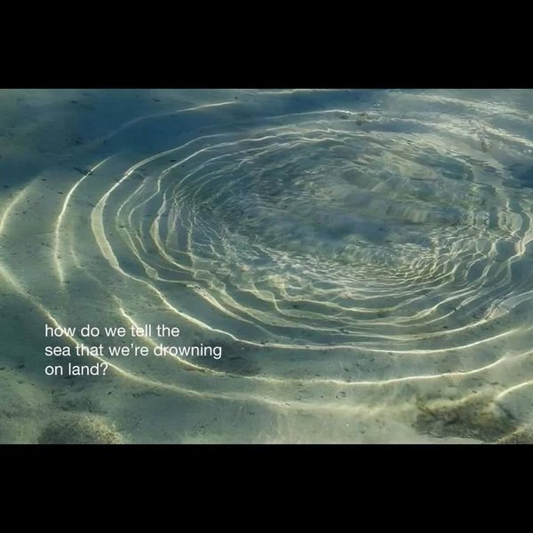 Thumbnail of www-instagram-com-p-dsbs6btk8xa 8