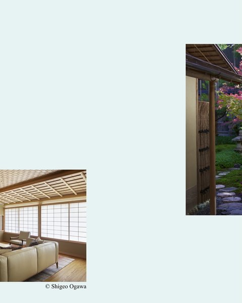 Thumbnail of p-dpyyyexj1sh-33df5f92b505425b 4