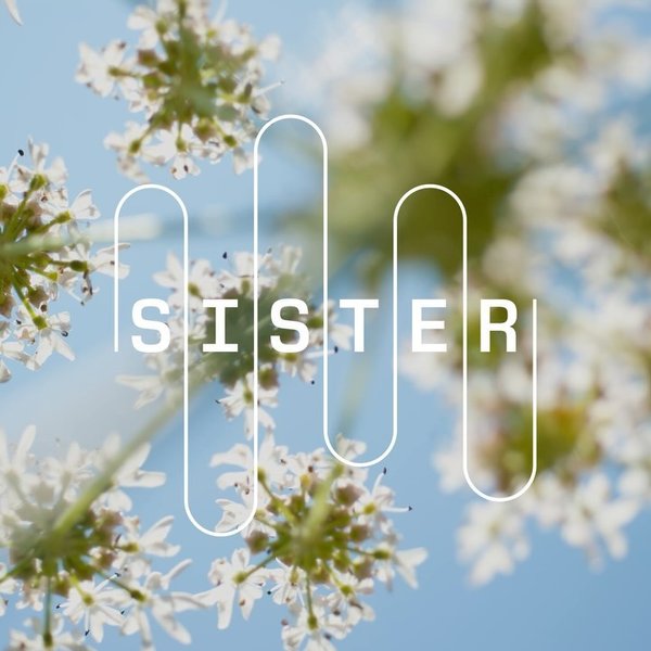 Thumbnail of www-instagram-com-p-dajf-yconvp 0