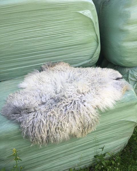 Thumbnail of 1lb-zs-3470abc66f924699 0