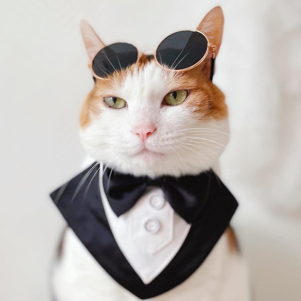 Thumbnail of p-chfuipxpj5n-34797fc54eb14063 0