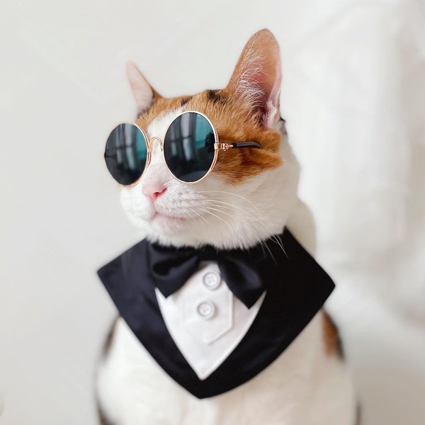 Thumbnail of p-chfuipxpj5n-34797fc54eb14063 1