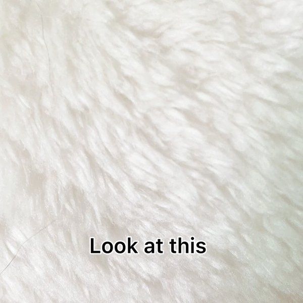 Thumbnail of p-chfuipxpj5n-34797fc54eb14063 3