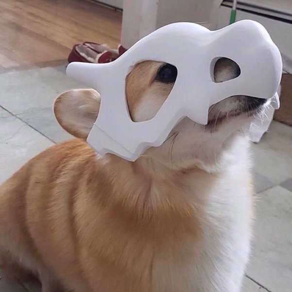 Thumbnail of p-cq9dcmrme22-3481dad468734a7f 0