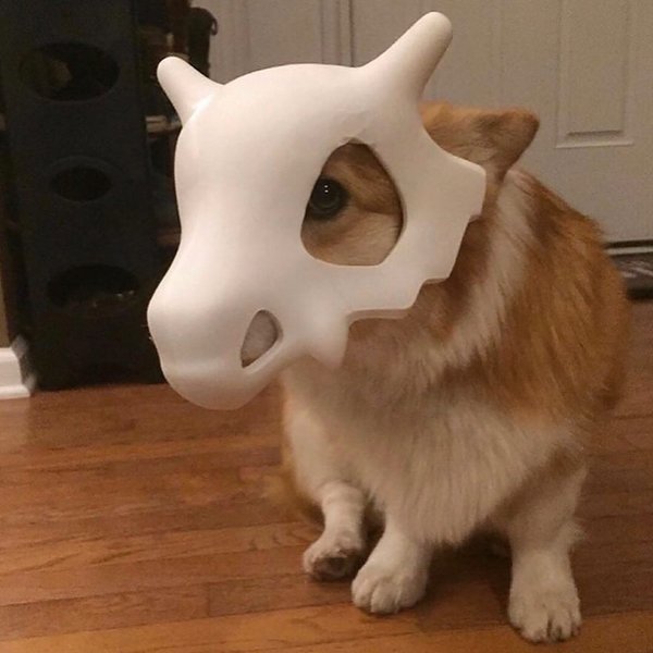 Thumbnail of p-cq9dcmrme22-3481dad468734a7f 1