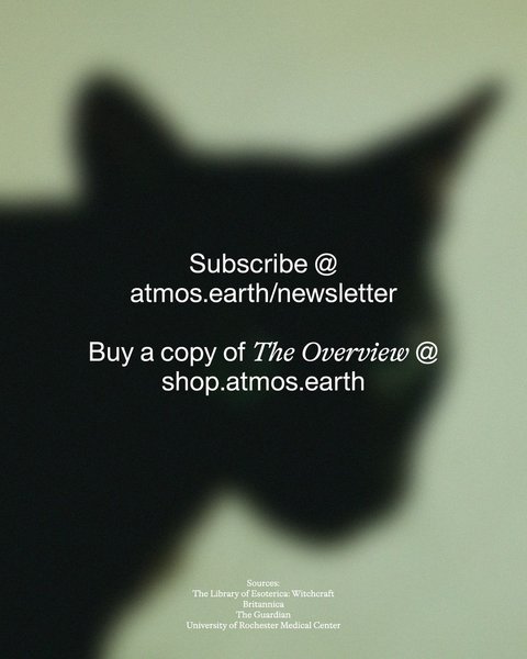 Thumbnail of www-instagram-com-p-db1jk7po6wo 9