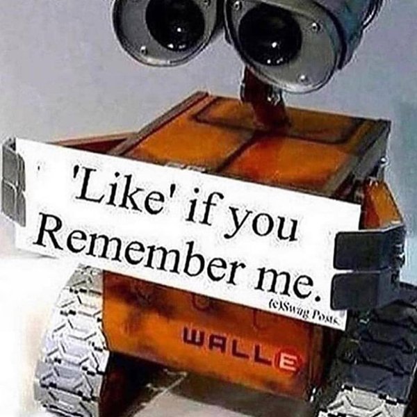 Thumbnail of p-buw11udlvgo-34e5d2335fc94d09 3