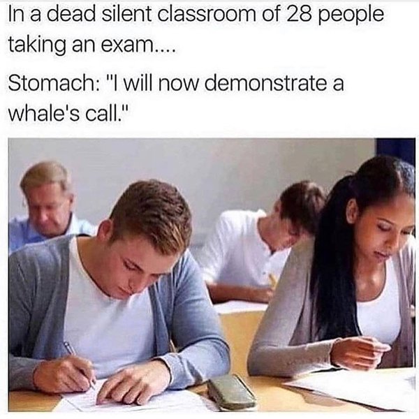 Thumbnail of p-buw11udlvgo-34e5d2335fc94d09 8