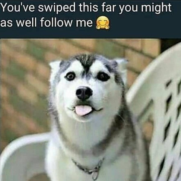 Thumbnail of p-buw11udlvgo-34e5d2335fc94d09 9