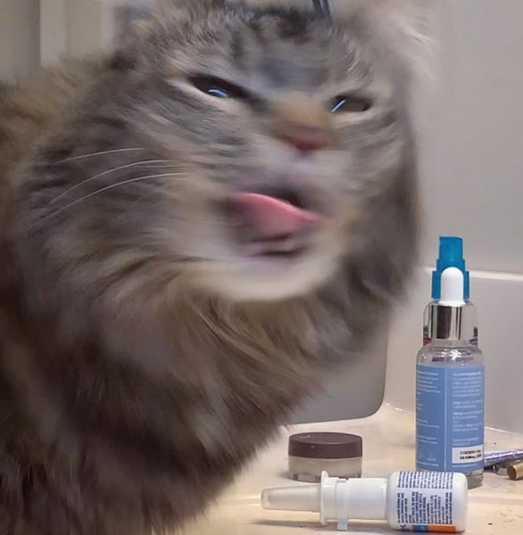 Thumbnail of p-cmfbfrhjbiz-34f9f517b3c14dff 4