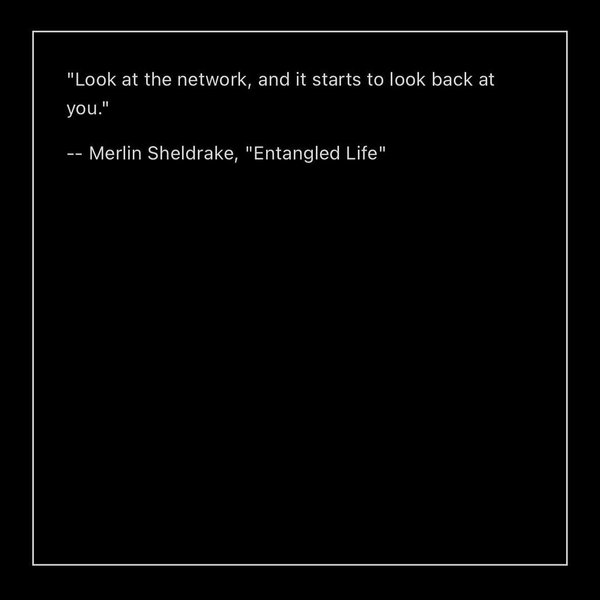 Thumbnail of www-instagram-com-p-dcuj3ymrmza 11