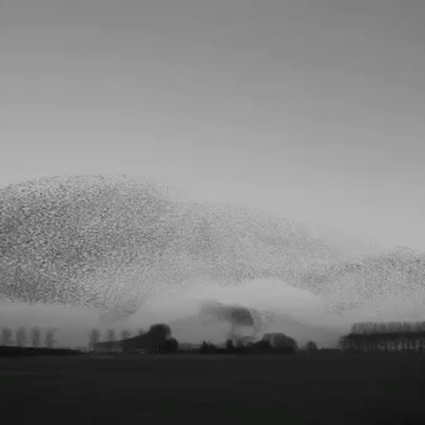 Thumbnail of www-instagram-com-p-dcuj3ymrmza 12