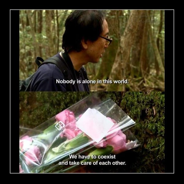 Thumbnail of www-instagram-com-p-dcuj3ymrmza 13