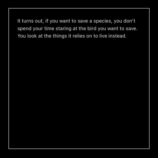 Thumbnail of www-instagram-com-p-dcuj3ymrmza 2