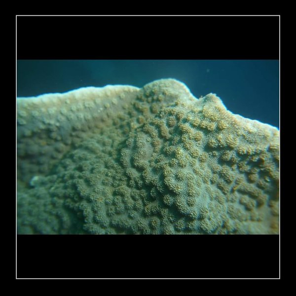 Thumbnail of www-instagram-com-p-dcuj3ymrmza 3