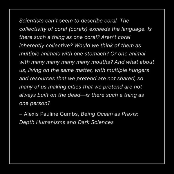 Thumbnail of www-instagram-com-p-dcuj3ymrmza 4