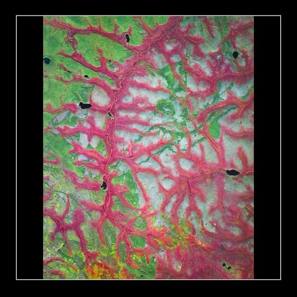 Thumbnail of www-instagram-com-p-dcuj3ymrmza 7