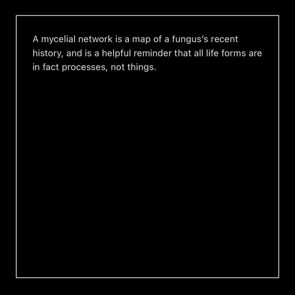 Thumbnail of www-instagram-com-p-dcuj3ymrmza 8