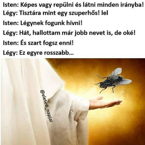 Thumbnail of p-brezqybas9v-35104e021a854f62 0