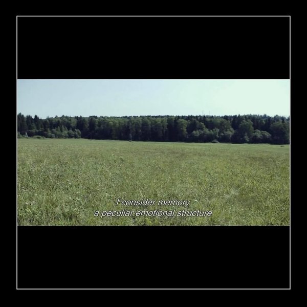 Thumbnail of www-instagram-com-p-ddsenlcxtkm 1