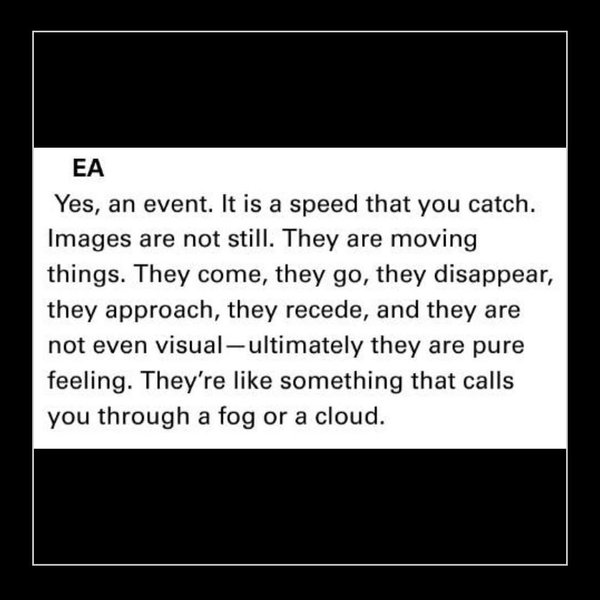 Thumbnail of www-instagram-com-p-ddsenlcxtkm 3