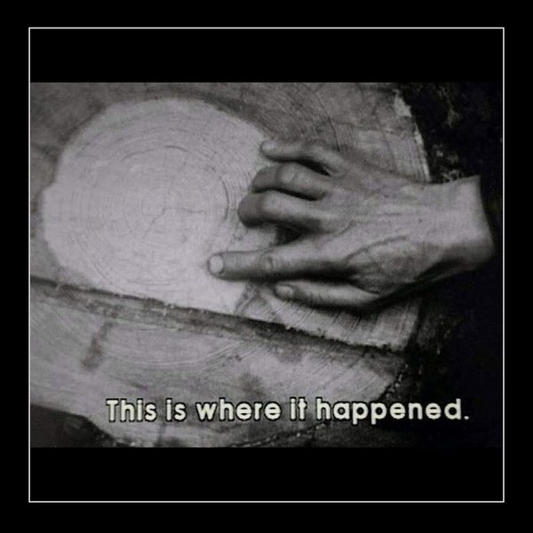 Thumbnail of www-instagram-com-p-ddsenlcxtkm 5