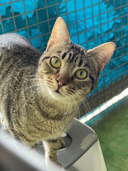 Thumbnail of p-doghtzdcc9u-35211fe71c7343b6 4