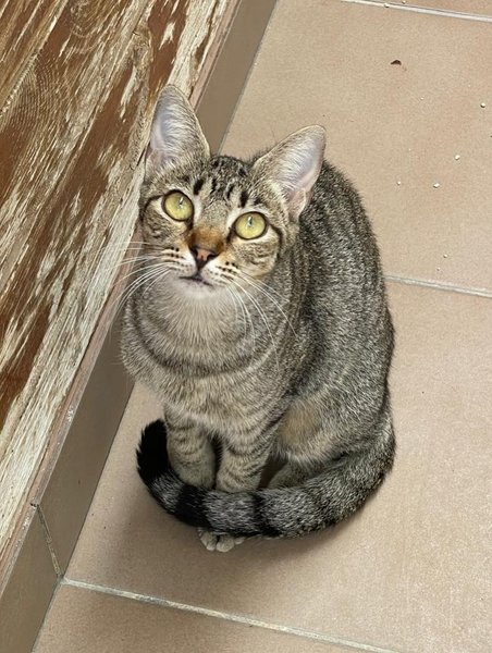 Thumbnail of p-doghtzdcc9u-35211fe71c7343b6 6