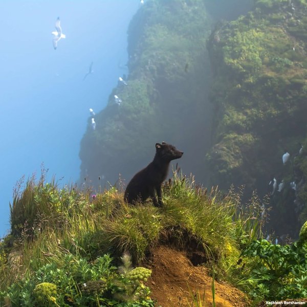 Thumbnail of www-instagram-com-p-dsu7rj6drmd 0